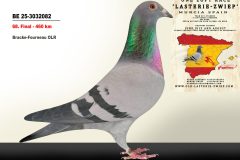 BE-25-3032082.jpg-scaled