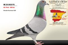 BE-25-3032176.jpg-scaled