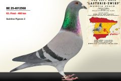 BE-25-4012568.jpg-scaled