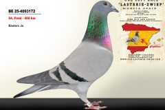 BE-25-4093172.jpg-scaled