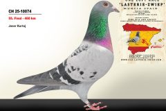 CH-25-10074.jpg-scaled