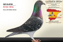 ESP-25-45708.jpg-scaled