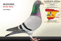 IHU-25-S-032219.jpg-scaled