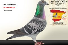 IHU-25-S-066955.jpg-scaled