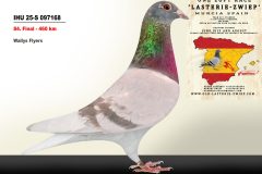 IHU-25-S-097168.jpg-scaled