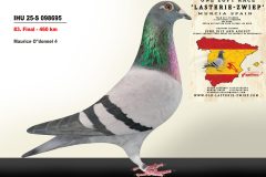 IHU-25-S-098695.jpg-scaled