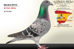 IHU-25-S-107173.jpg-scaled