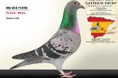 IHU-25-S-114784.jpg-scaled