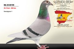 MA-25-00199.jpg-scaled