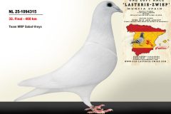 NL-25-1094315.jpg-scaled