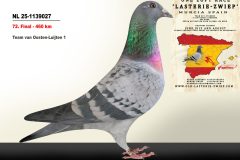 NL-25-1139027.jpg-scaled