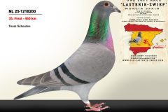 NL-25-1218200.jpg-scaled