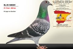 NL-25-1488381.jpg-scaled