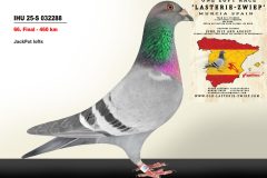 IHU-25-S-032288.jpg-scaled