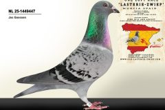 NL-25-1449447-Jos-Goessen.jpg-scaled