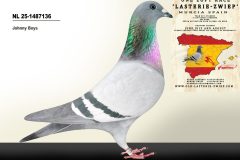 NL-25-1487136.jpg-scaled